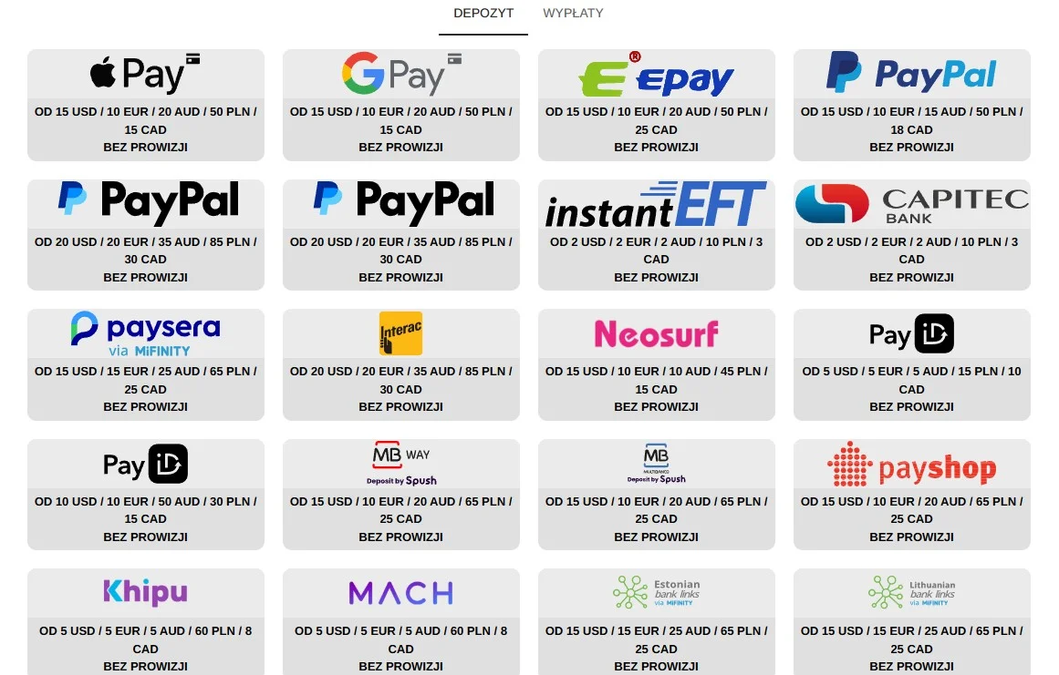 Fragment polskiej strony płatności BeepBeep z wartościami w PLN